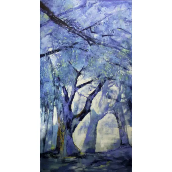 Décio Soncini - Costurando Azuis com Luzes